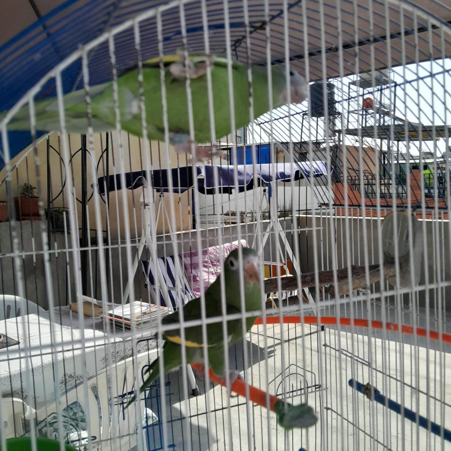 מלון ארקוויפה Akao House מראה חיצוני תמונה