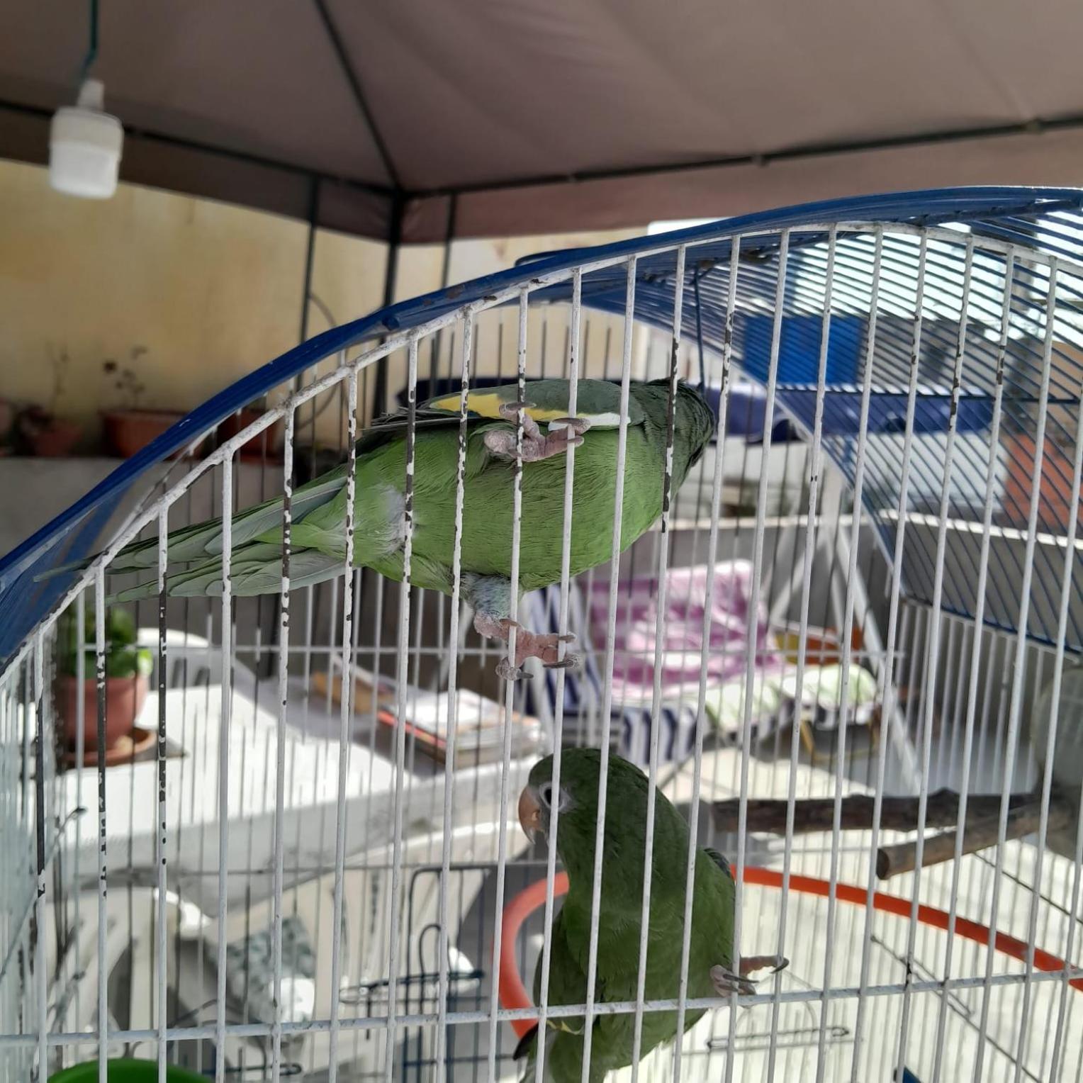 מלון ארקוויפה Akao House מראה חיצוני תמונה